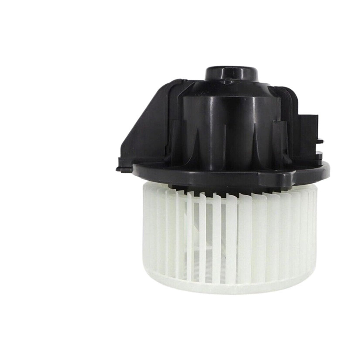 Heater Blower Motor Fan