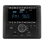 DS18 RVR1 RV Headunit LCD Screen, 2 Zones, 4 Volts Output, FM/AM, MP3, USB, HDMI, Bluetooth, RDS 4X40 Watts - Great Stereo Receiver for Recreational Vehicle RV