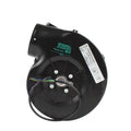 G2E140-NS38-01 230V Volute Blower
